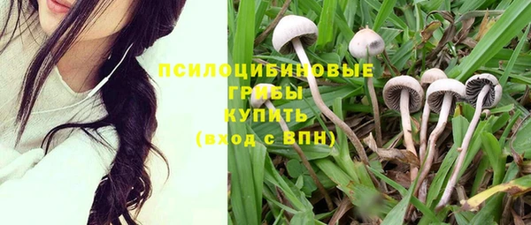 ГАЛЛЮЦИНОГЕННЫЕ ГРИБЫ Михайловка
