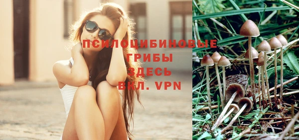 первитин Михайлов