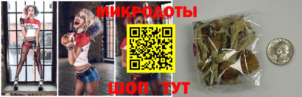 Галлюциногенные грибы прущие грибы Новотроицк